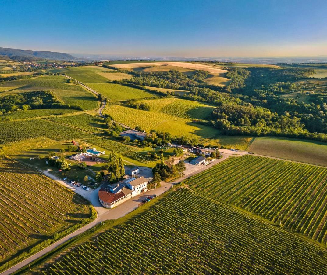 Hilltop Borbirtok & Etterem Hotel Neszmély Екстериор снимка