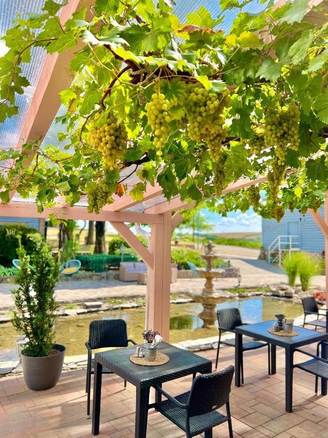 Hilltop Borbirtok & Etterem Hotel Neszmély Екстериор снимка