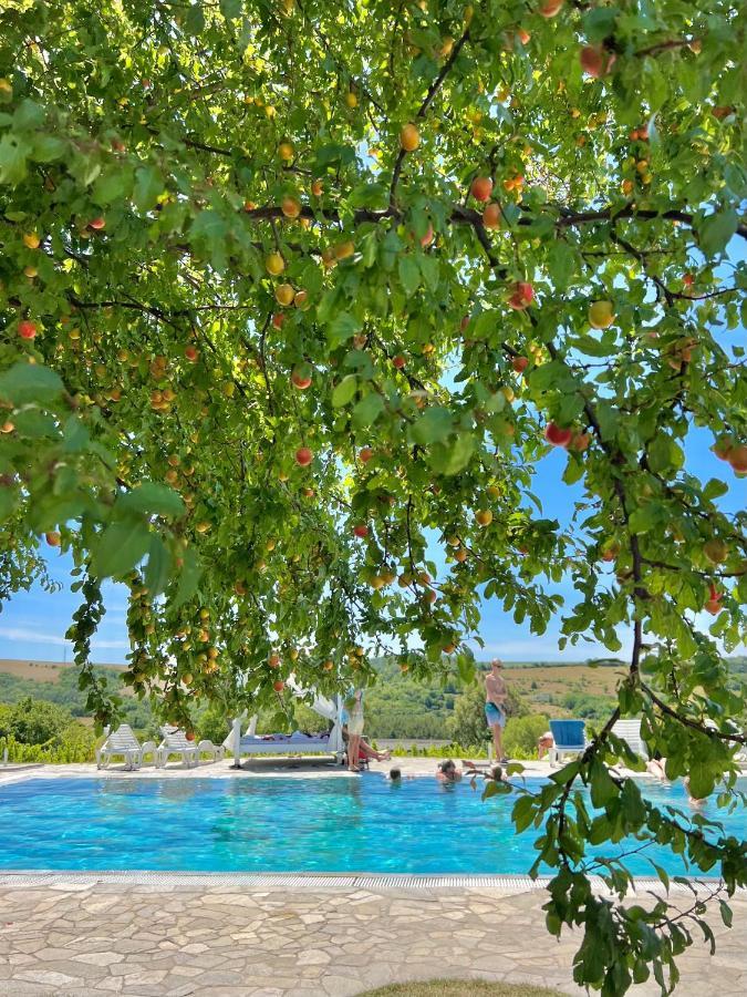 Hilltop Borbirtok & Etterem Hotel Neszmély Екстериор снимка