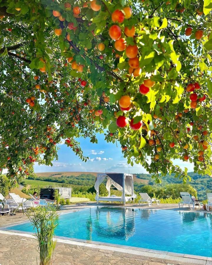 Hilltop Borbirtok & Etterem Hotel Neszmély Екстериор снимка